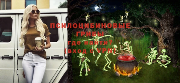 бошки Абаза
