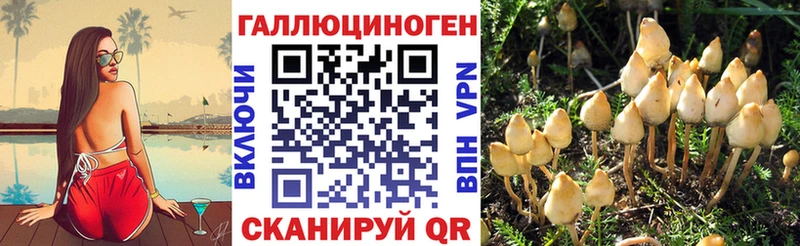 Псилоцибиновые грибы Magic Shrooms  продажа наркотиков  Азов 